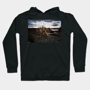 Evening Entrance Hoodie